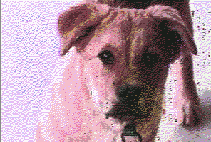 Juddpeg Screenshot